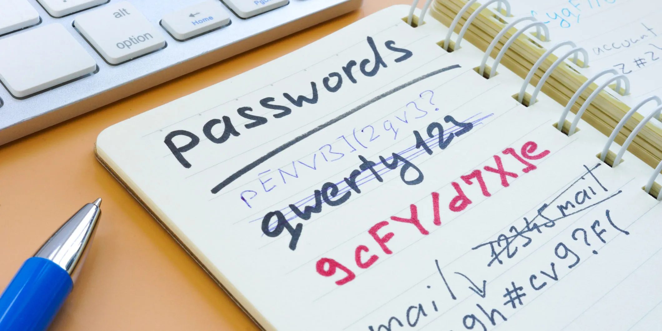 Could We Soon See the End of Passwords? - The FIDO Alliance Develops Alternative Authentication Protocol