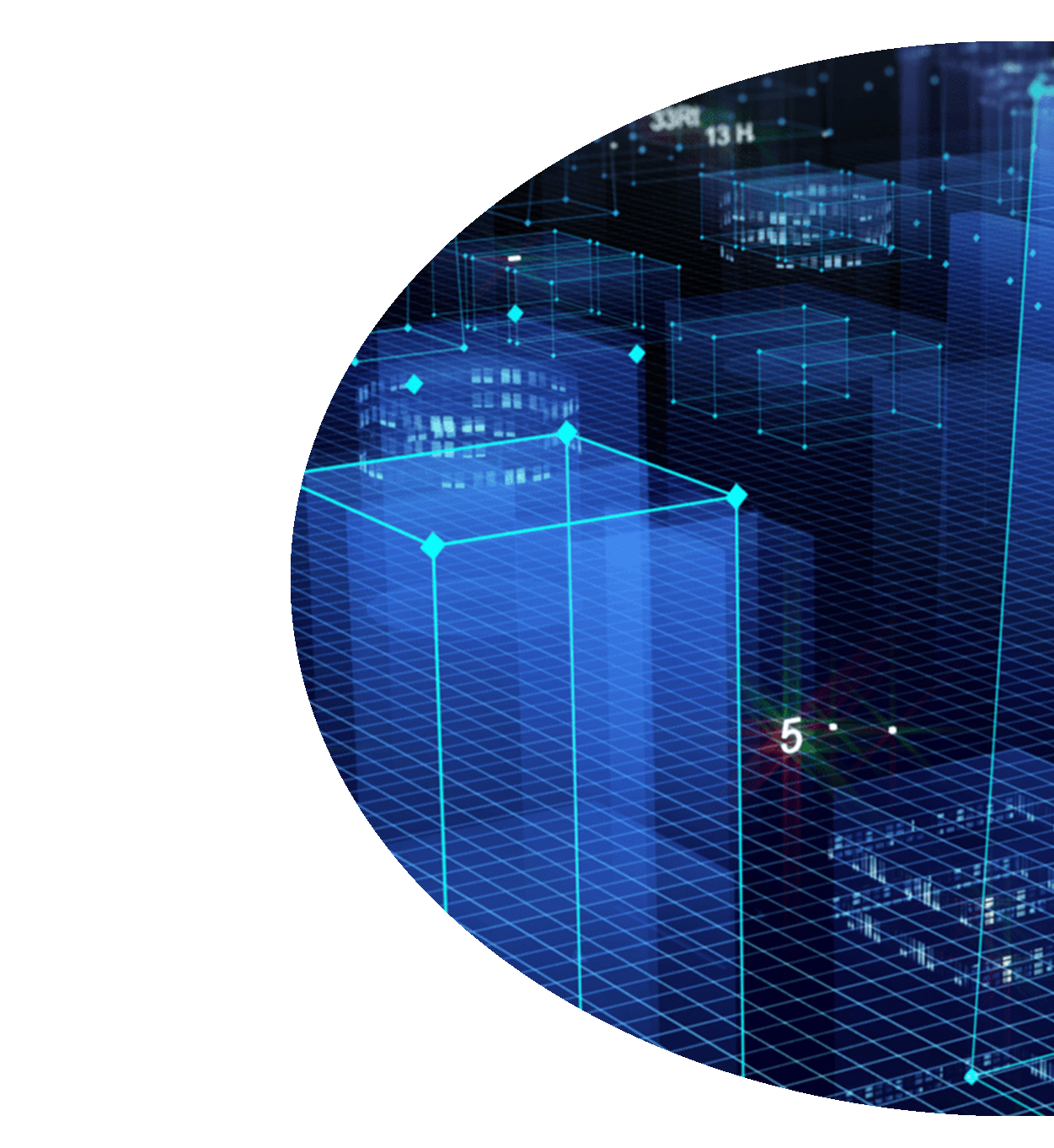Custom Software Development Specialists | 7T
